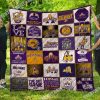 NCAA Albany Great Danes Special Style Quilt Blanket